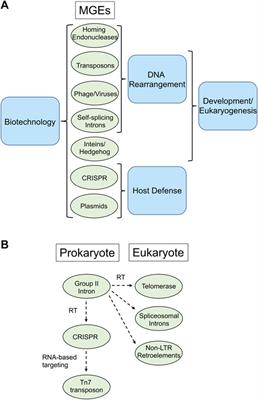 Editorial: Genetically mobile elements repurposed by nature and biotechnologists